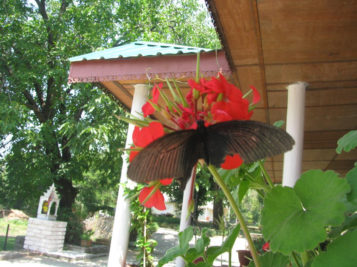 Tatva Bir Tents And Hotel Kangar Esterno foto